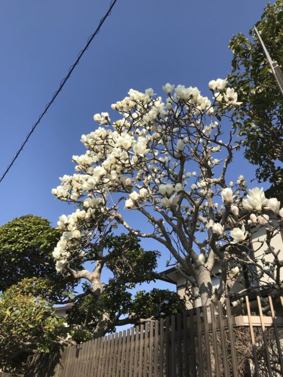 記事画像