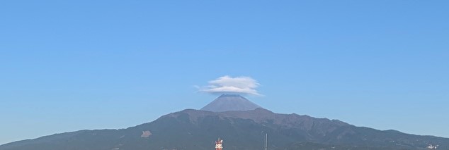 今年を振りかえって