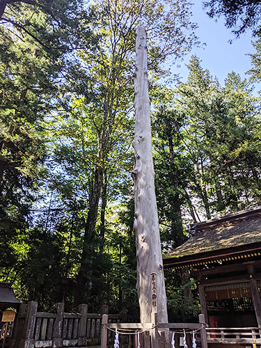 諏訪大社下社春宮御柱