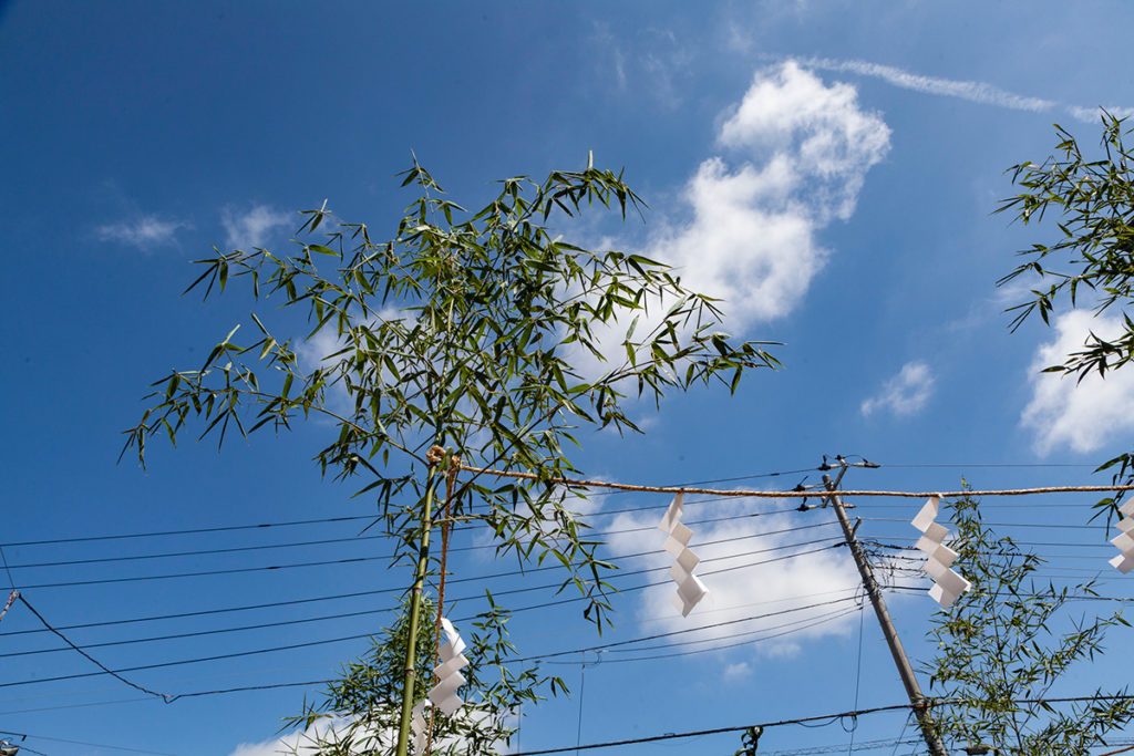 沼津市の新築住宅、密着ブログをはじめます！