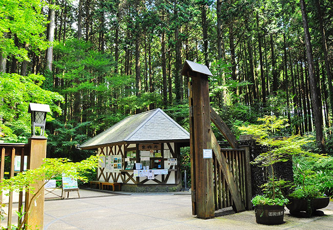 秩父宮記念公園