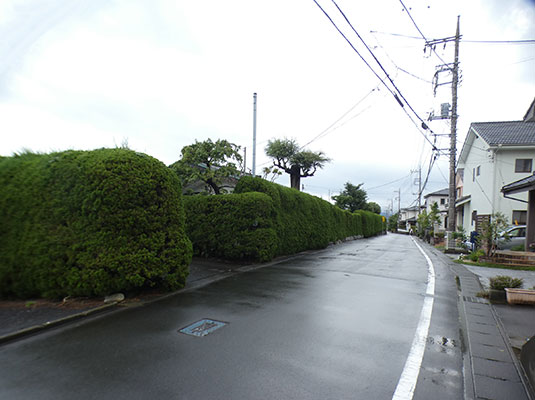 三島市若松町売り土地現地写真