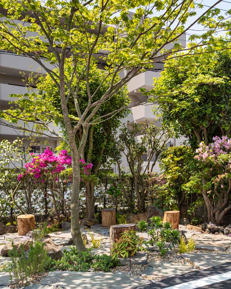 花メディカルクリニックのこだわりの植栽