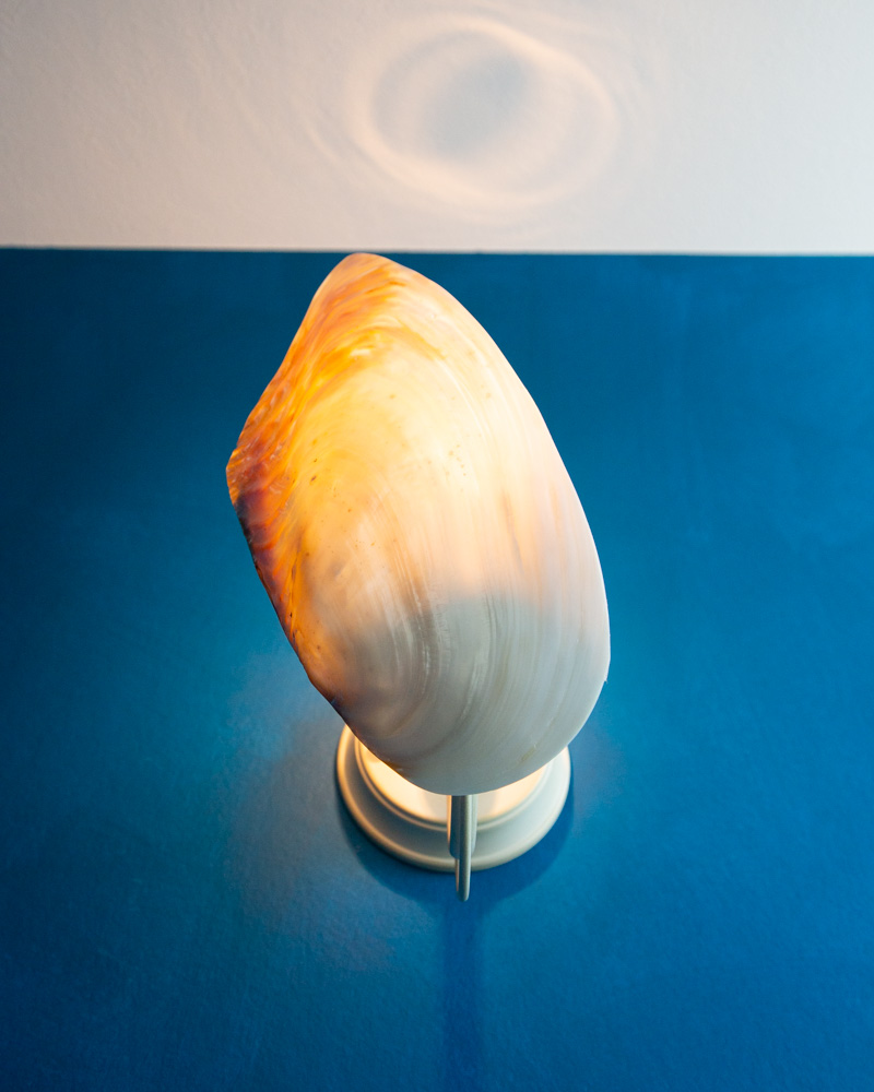 トイレの照明には巨大な貝殻を採用