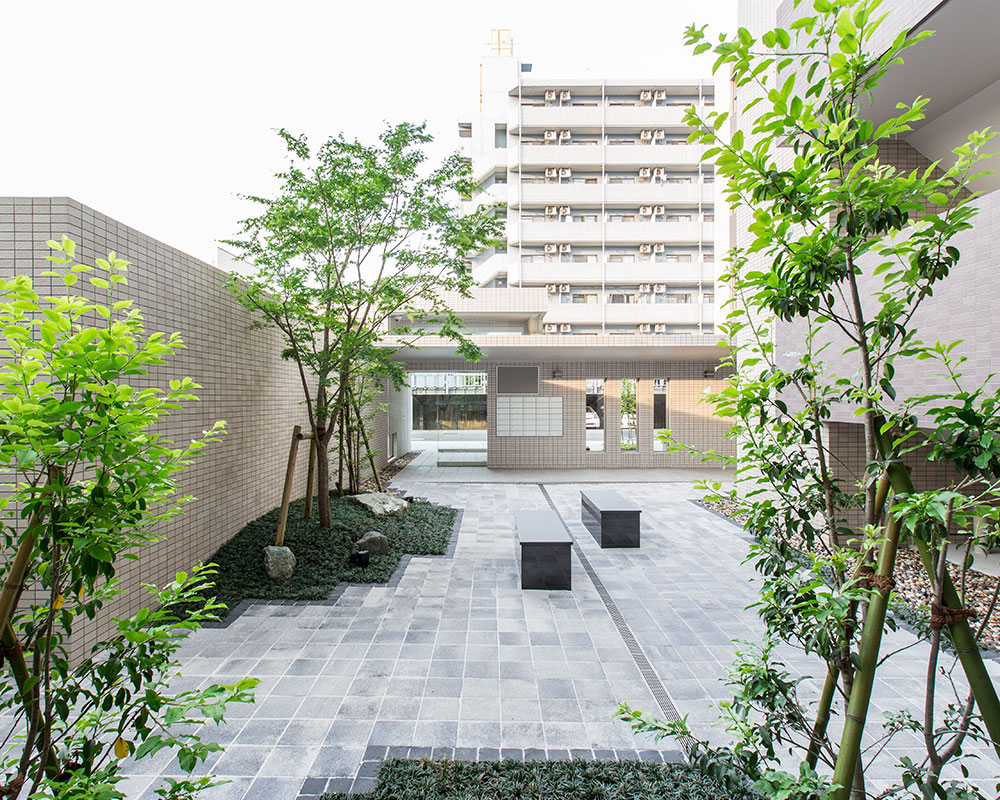 シンボルツリーにはイロハモミジを採用