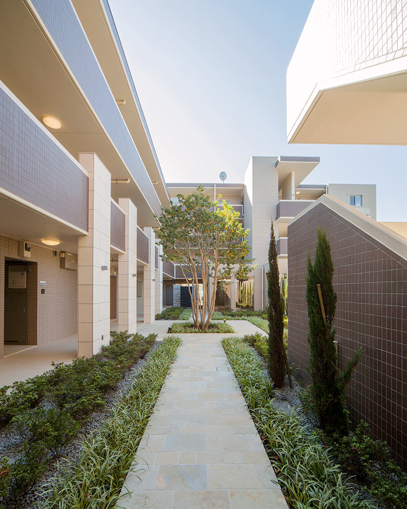 中央にあるシンボルツリーに向かって小道が設けられた中庭。