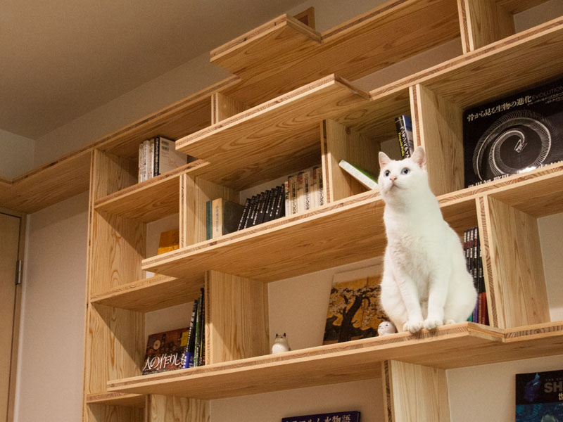 リノベーション:施工事例:「猫と暮らす茶室のある家」を見る