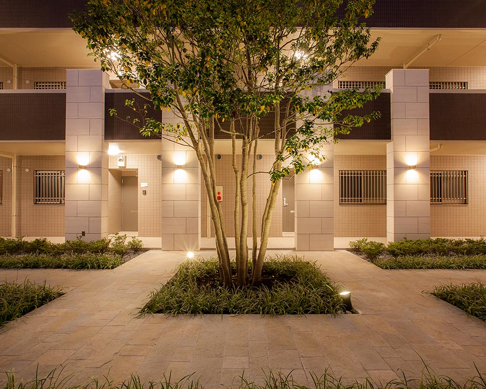 ライトアップされた中庭やシンボルツリー。