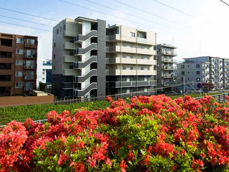 マンション:施工事例:「PRIMROSE」を見る「」