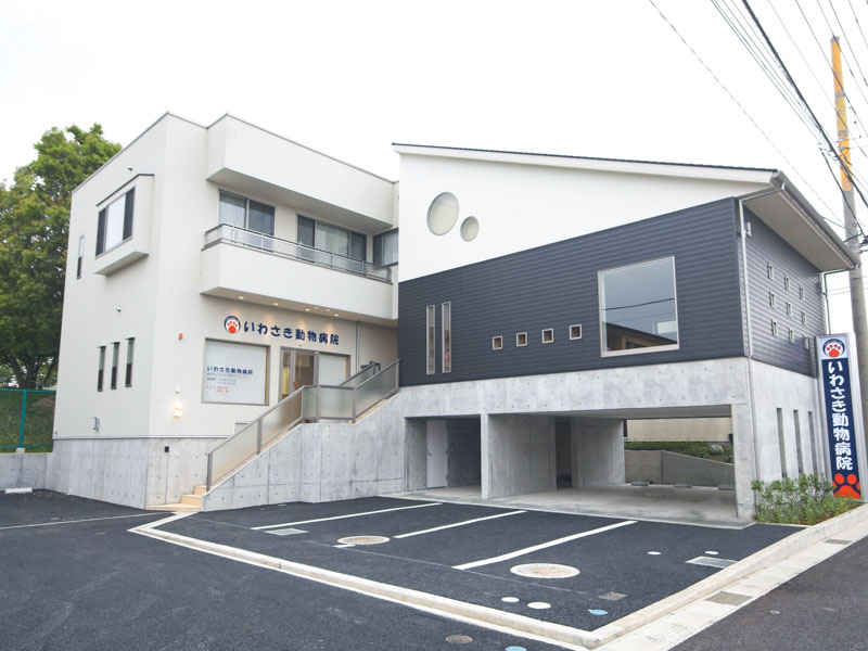 平成建設 商業施設施工事例 いわさき動物病院