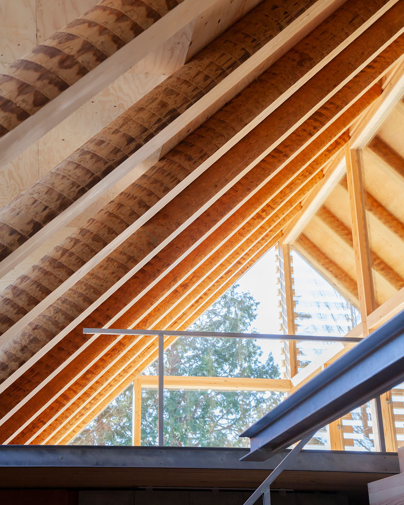 スギの太鼓材を現しにした垂木