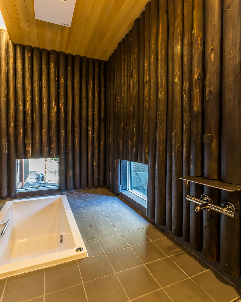 中庭に樹を抱く家:浴室