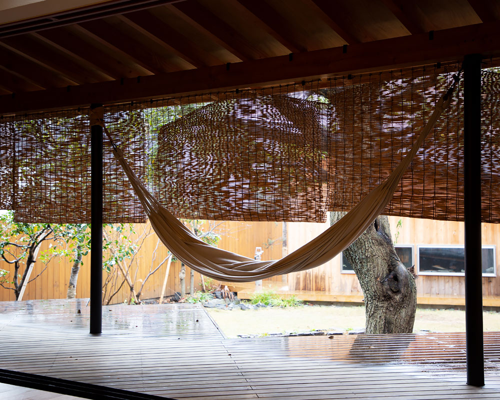 中庭に樹を抱く家:軒下