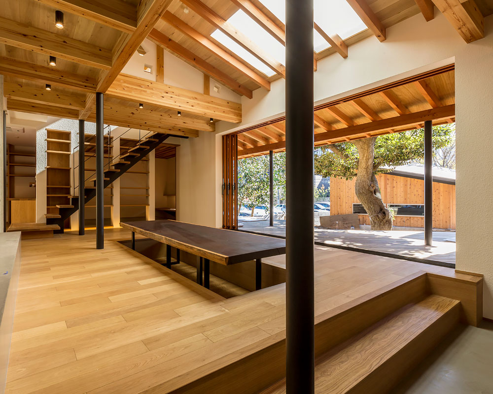 中庭に樹を抱く家:リビング